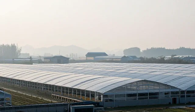 系统集成中的软件研发检查要点解析